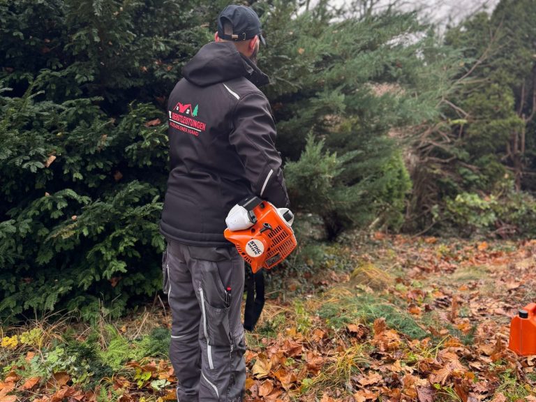 Mitarbeiter von BKL Dienstleistungen beim fachgerechten Heckenschnitt im Gartenbereich.