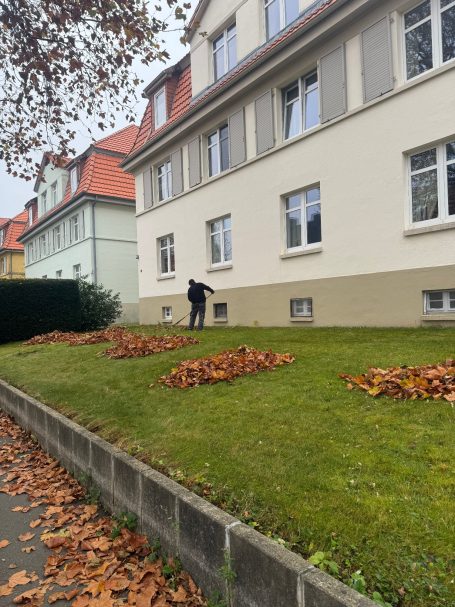 Laubentfernung im Garten in Goslar