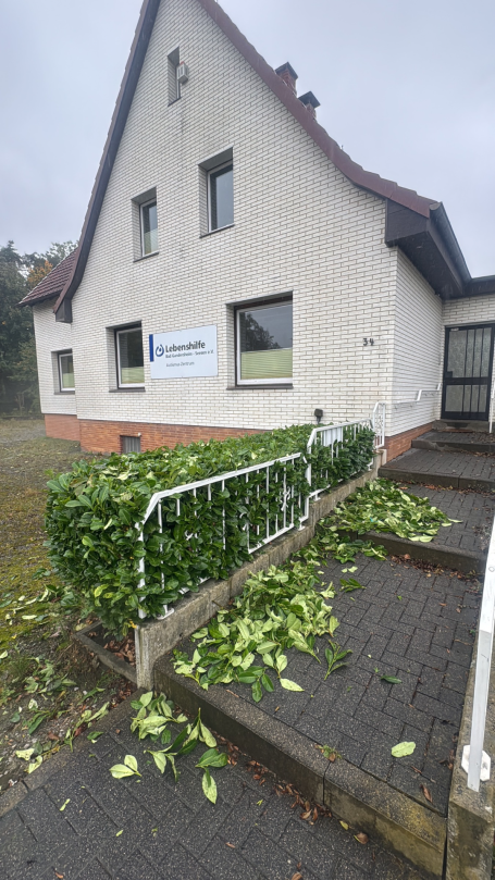 Heckenschnitt Seesen - Gartenpflege BKL Dienstleistungen