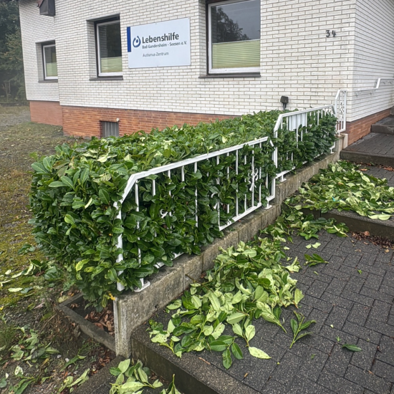 Frischer Heckenschnitt in Seesen