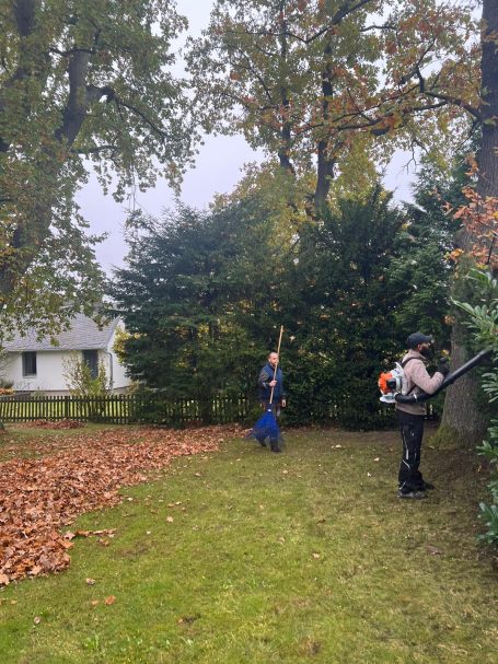 Unser Team von BKL Dienstleistungen führt professionelle Gartenpflege und Laubentsorgung mit Rechen und Laubbläser durch.