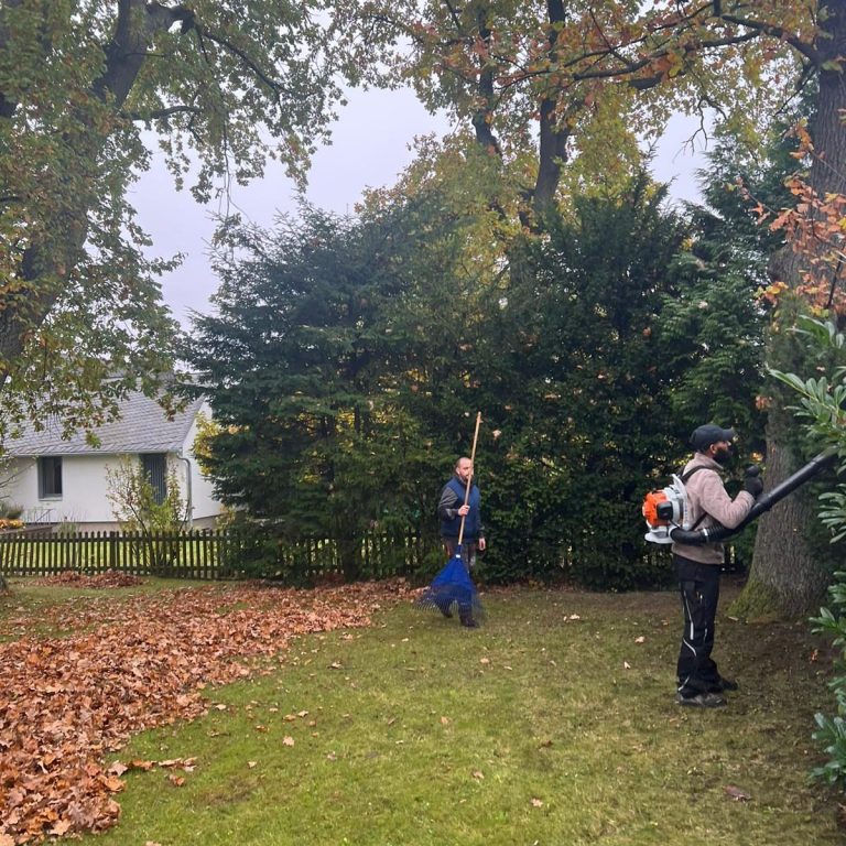 Mitarbeiter von BKL Dienstleistungen entfernen Laub mit Rechen und Laubbläser im Garten in Goslar.