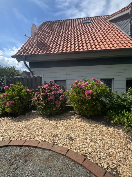 Beetpflege Bad Harzburg - Gartenpflege BKL Dienstleistungen