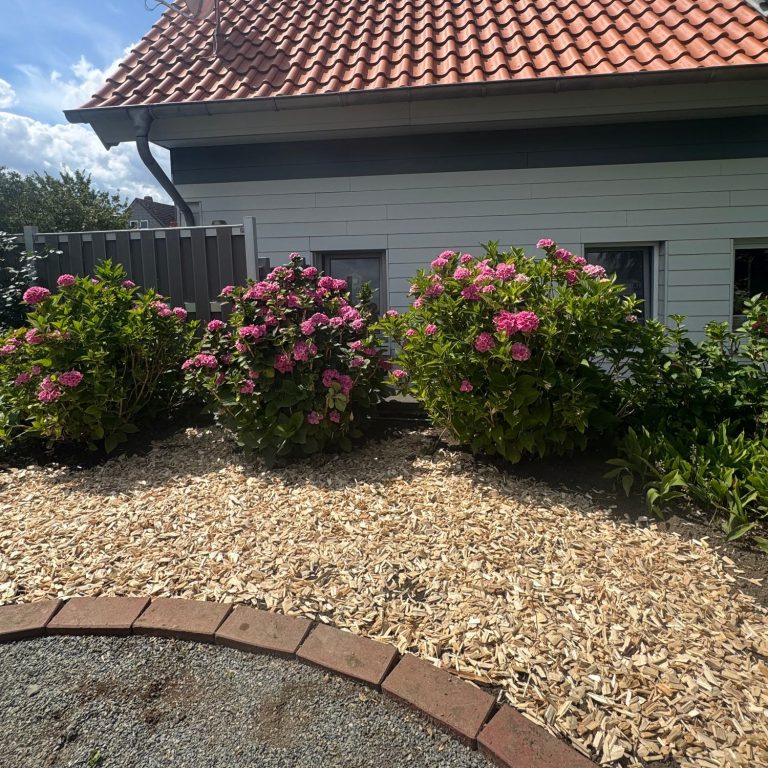 Neu gestalteter Vorgarten mit Holzhackschnitzel und Sträuchern vor einem Wohnhaus, umgesetzt von BKL Dienstleistungen.